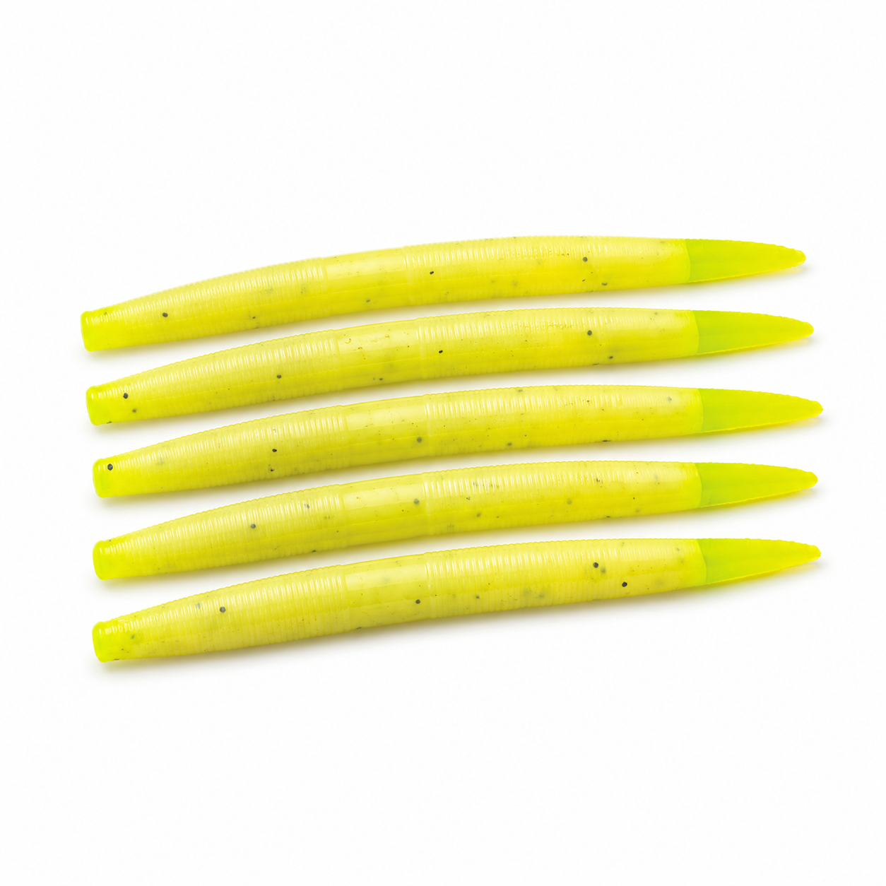5" Core Shot Worm