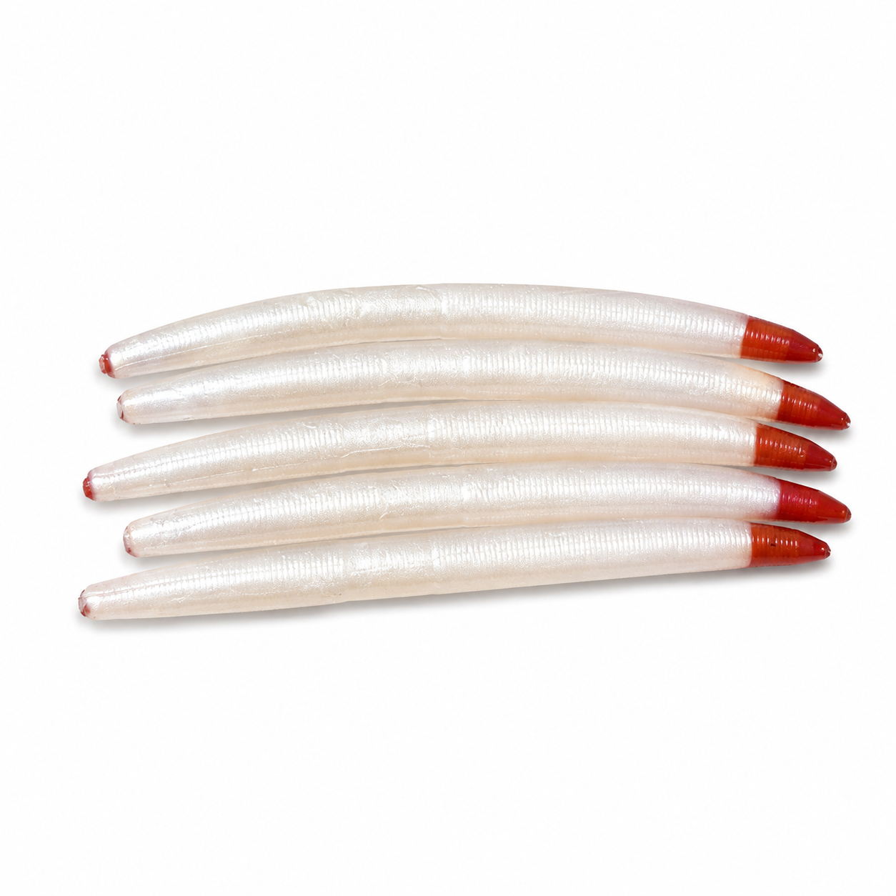 5" Core Shot Worm